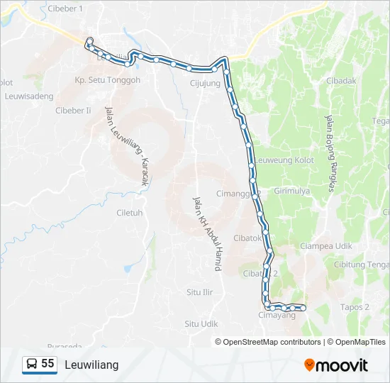 55 Bus Line Map