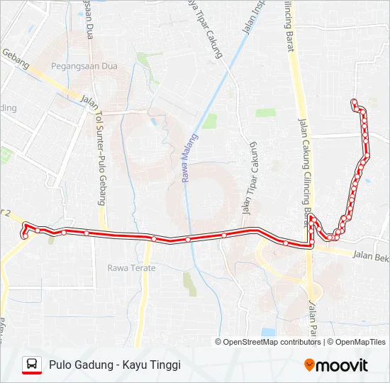 T21 Bus Line Map