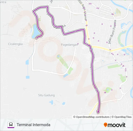 BSD LINK Bus Line Map