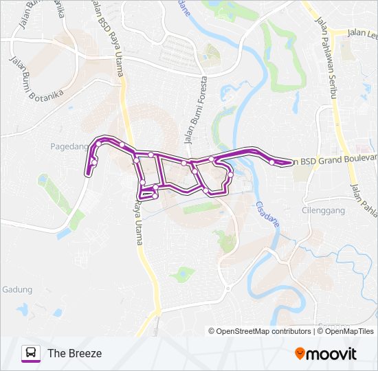BSD LINK Bus Line Map