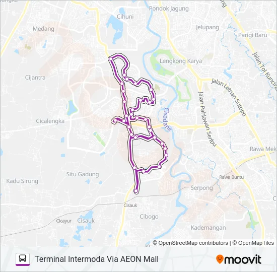 BSD LINK Bus Line Map