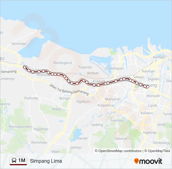 1M Bus Line Map