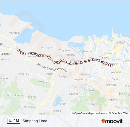 1M bus Line Map