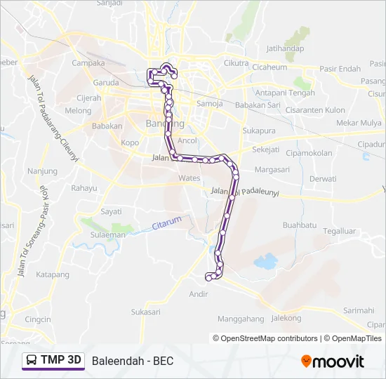 TMP 3D Bus Line Map