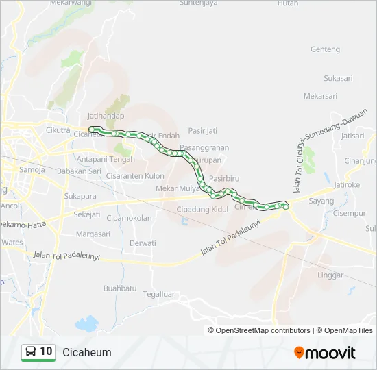 10 Bus Line Map