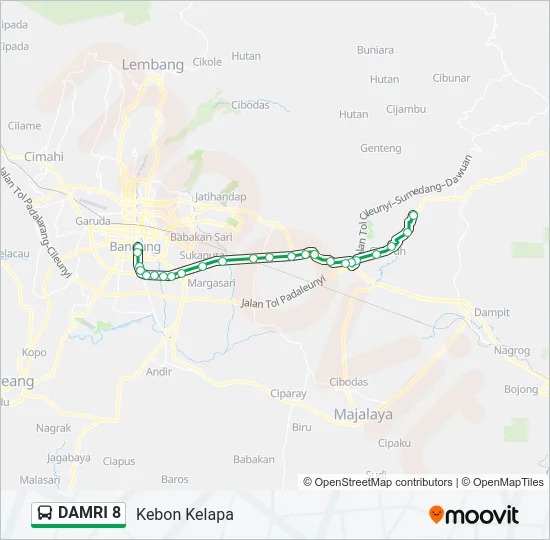 DAMRI 8 Bus Line Map