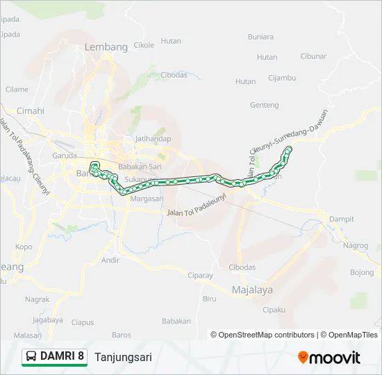 DAMRI 8 Bus Line Map