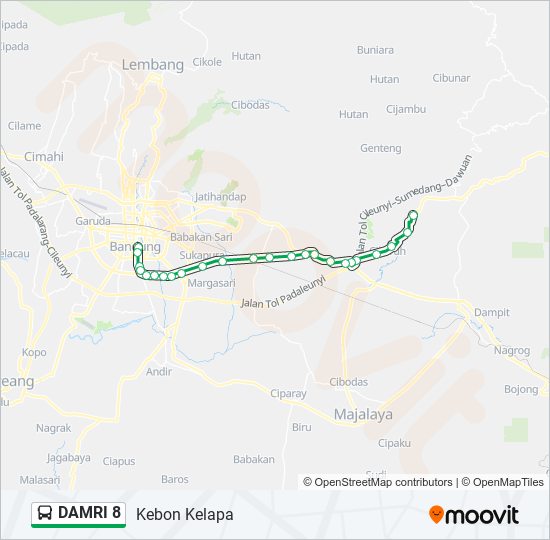 DAMRI 8 bus Line Map