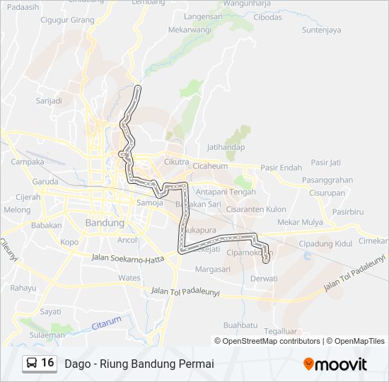 16 Bus Line Map