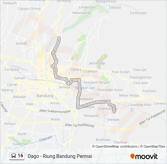 16 Bus Line Map