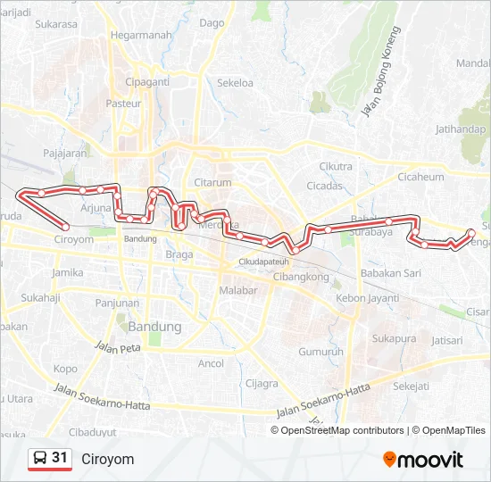 31 Bus Line Map