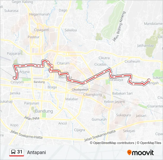 31 Bus Line Map