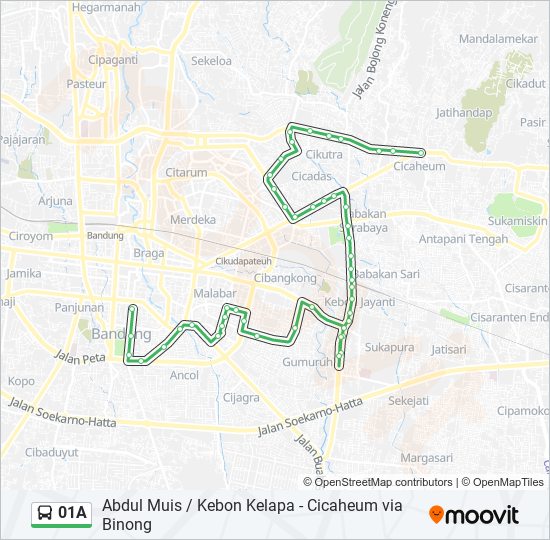 01A bus Line Map