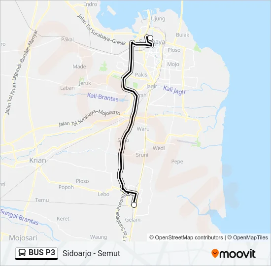BUS P3 Bus Line Map