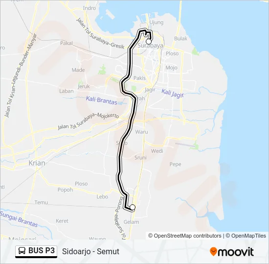 BUS P3 Bus Line Map