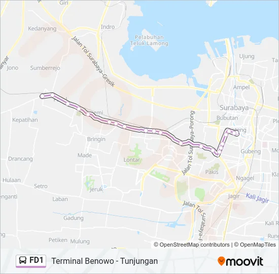 FD1 Bus Line Map