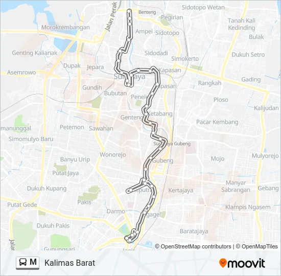M Bus Line Map