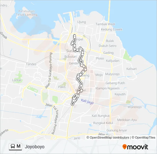 M Bus Line Map