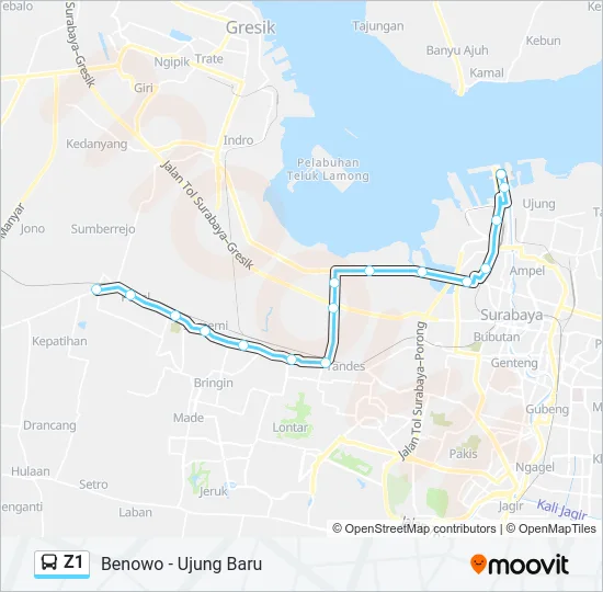 Z1 Bus Line Map