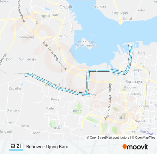 Z1 Bus Line Map