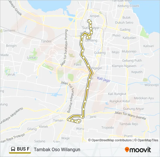 BUS F Bus Line Map