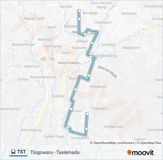 TST Bus Line Map