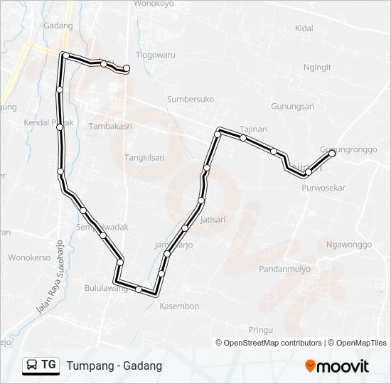 TG Bus Line Map