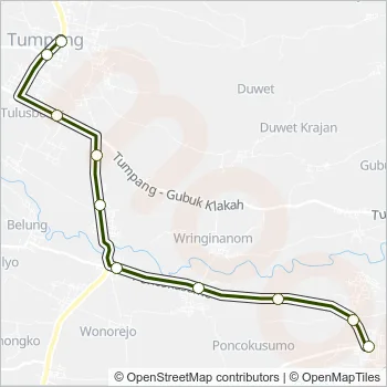 TP Bus Line Map