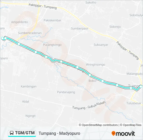 TGM/GTM Bus Line Map