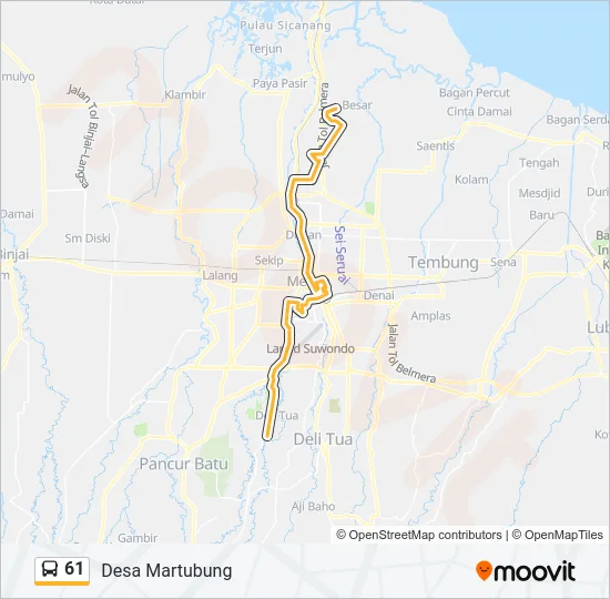61 Bus Line Map