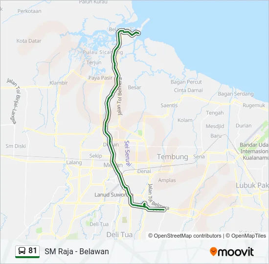 81 Bus Line Map