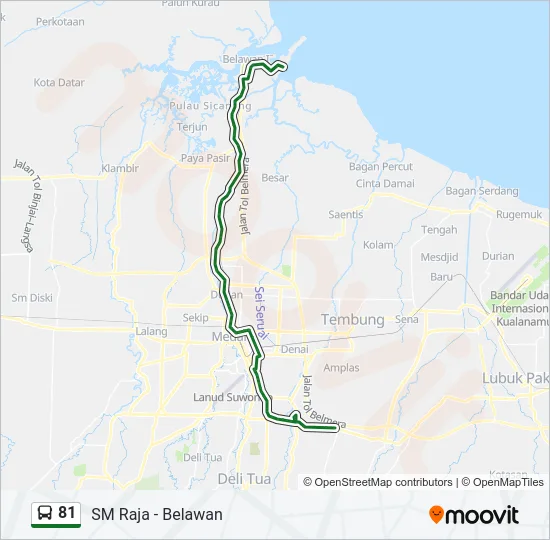81 Bus Line Map