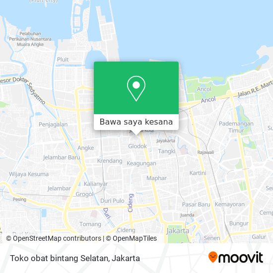 Peta Toko obat bintang Selatan