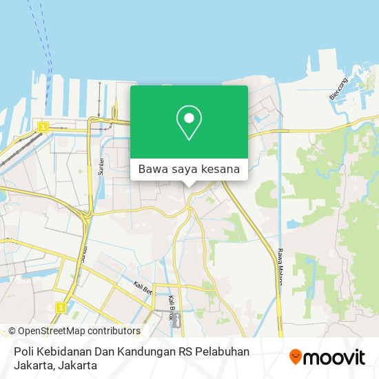 Peta Poli Kebidanan Dan Kandungan RS Pelabuhan Jakarta