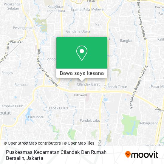 Peta Puskesmas Kecamatan Cilandak Dan Rumah Bersalin