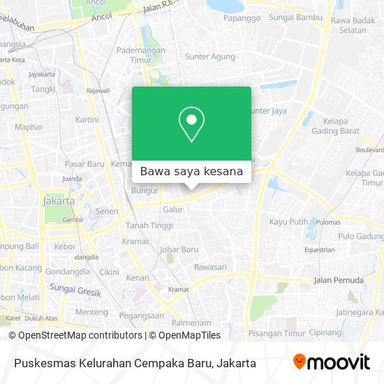 Peta Puskesmas Kelurahan Cempaka Baru