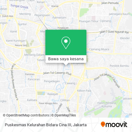 Peta Puskesmas Kelurahan Bidara Cina III