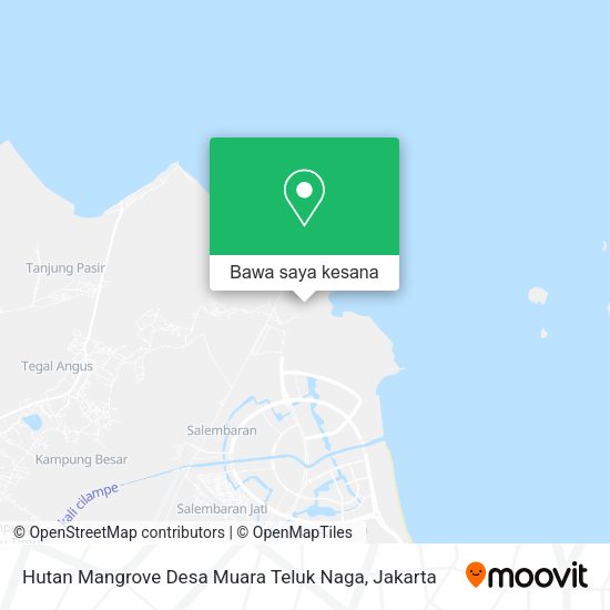 Peta Hutan Mangrove Desa Muara Teluk Naga, Teluknaga