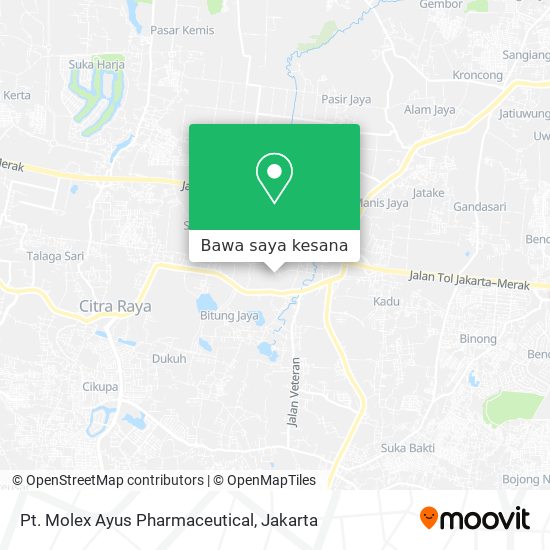 Peta Pt. Molex Ayus Pharmaceutical