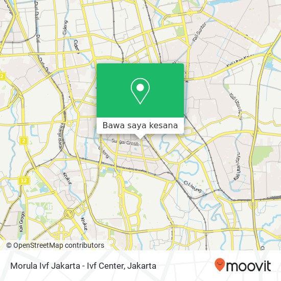 Peta Morula Ivf Jakarta - Ivf Center