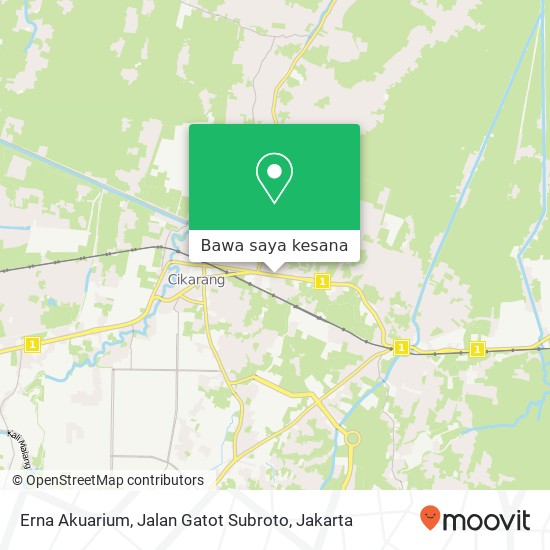 Peta Erna Akuarium, Jalan Gatot Subroto