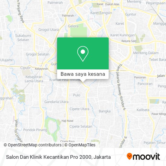 Peta Salon Dan Klinik Kecantikan Pro 2000