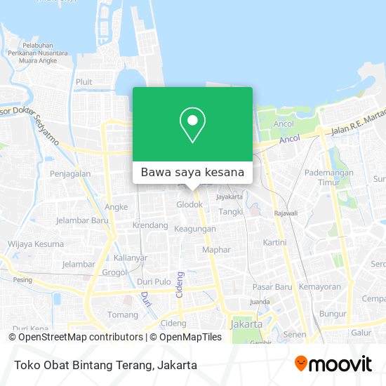 Peta Toko Obat Bintang Terang