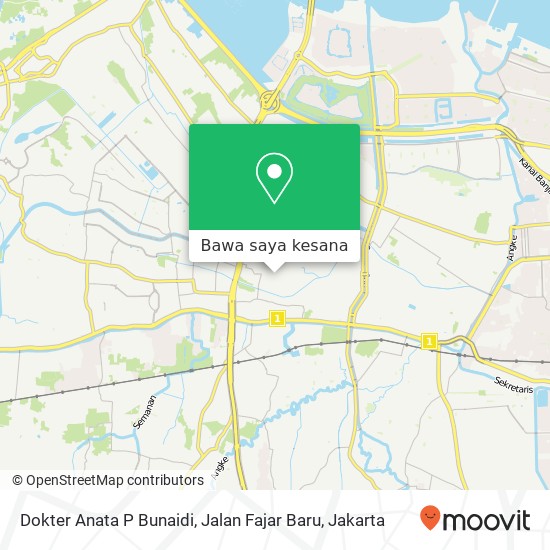 Peta Dokter Anata P Bunaidi, Jalan Fajar Baru