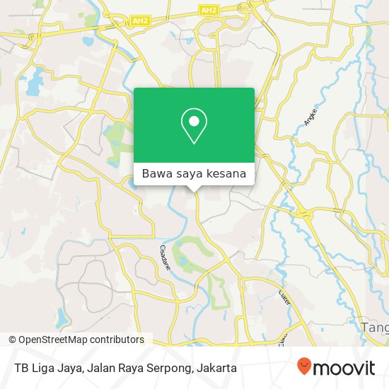 Peta TB Liga Jaya, Jalan Raya Serpong