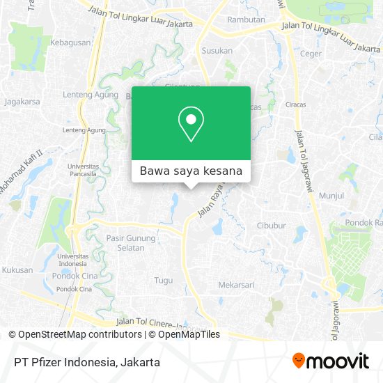 Peta PT Pfizer Indonesia