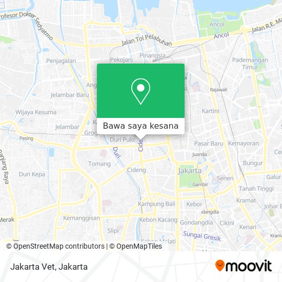 Peta Jakarta Vet