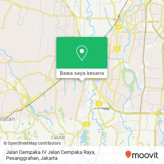 Peta Jalan Cempaka IV Jalan Cempaka Raya, Pesanggrahan