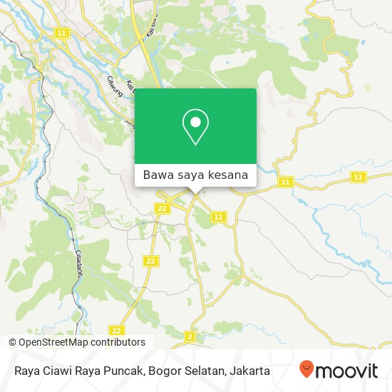 Peta Raya Ciawi Raya Puncak, Bogor Selatan