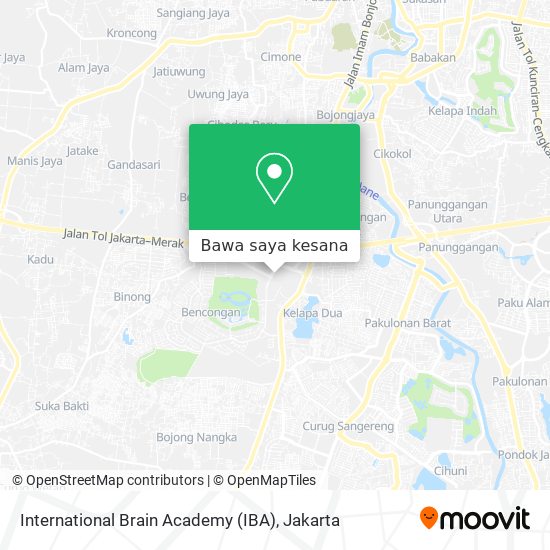 Peta International Brain Academy (IBA)